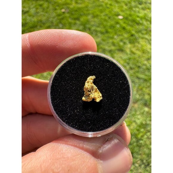 California Gold Crystal - 0.31 grams - Picture 8 of 8